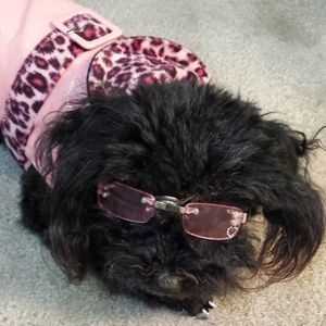 Meet your Posher, Mitzi